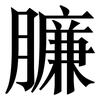 臁: serif (Songti/Mingti)