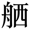 舾: serif (Songti/Mingti)