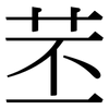 苤: serif (Songti/Mingti)