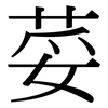 荽: serif (Songti/Mingti)