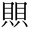 賏: serif (Songti/Mingti)