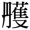 雘: serif (Songti/Mingti)
