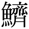 鱭: serif (Songti/Mingti)
