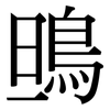 鴠: serif (Songti/Mingti)