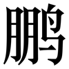 鹏: serif (Songti/Mingti)