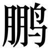 鹏: serif (Songti/Mingti)