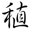 稙: semi-cursive script