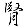 腎: semi-cursive script