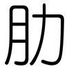 肋: rounded