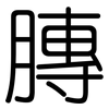 膞: rounded