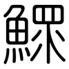 鰥: rounded
