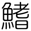 鰭: rounded