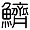 鱭: rounded
