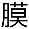 膜: sans serif