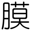 膜: rounded