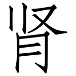 肾: 仿宋體