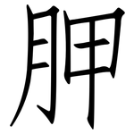 胛: 仿宋體