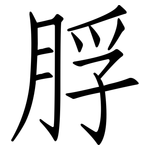 脬: 仿宋體