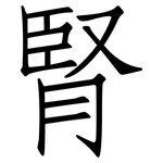 腎: 仿宋體