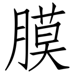 膜: 仿宋體 膜: 仿宋體