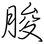 朘: 鋼筆楷書