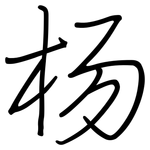 杨: 鋼筆楷書 杨: 鋼筆楷書