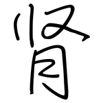 肾: 鋼筆楷書