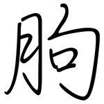 胊: 鋼筆楷書