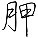胛: 鋼筆楷書