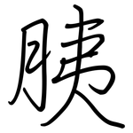 胰: 鋼筆楷書