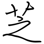 芝: 鋼筆楷書 芝: 鋼筆楷書