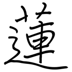 蓮: 鋼筆楷書 蓮: 鋼筆楷書