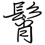 髾: 鋼筆楷書