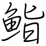鮨: 鋼筆楷書