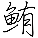 鮪: 鋼筆楷書