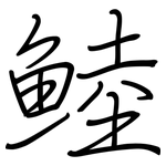 鯥: 鋼筆楷書