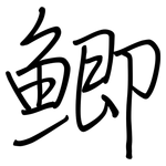鯽: 鋼筆楷書