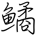 鱊: 鋼筆楷書