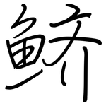 鲚: 鋼筆楷書