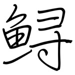 鲟: 鋼筆楷書