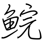 鲩: 鋼筆楷書