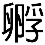 孵: 黑體