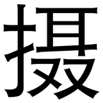 摄: 黑體 摄: 黑體