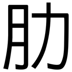 肋: 黑體