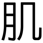 肌: 黑體 肌: 黑體