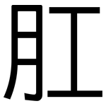 肛: 黑體