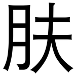 肤: 黑體