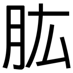 肱: 黑體