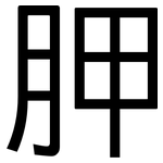 胛: 黑體