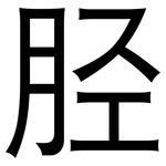 胫: 黑體